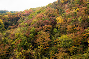 DSC_5304.jpg