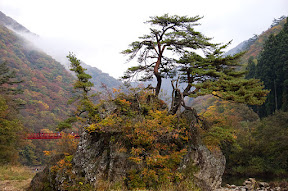 DSC_5322.jpg