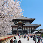 P1020283.jpg