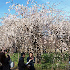 DSC_5469.JPG