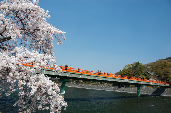 朝霧橋