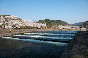 DSC_7910.jpg