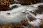 DSC_4626.jpg