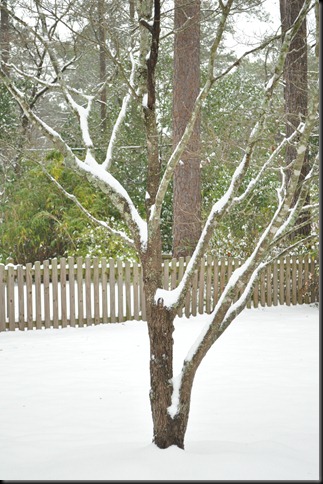 DSC_0222 DSC_0222