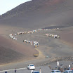 DSC03141.JPG