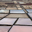 P3020119.JPG