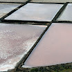 P3020125.JPG