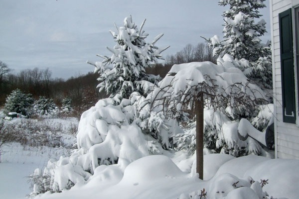 [b2010_0206BigSnow0051[4].jpg]