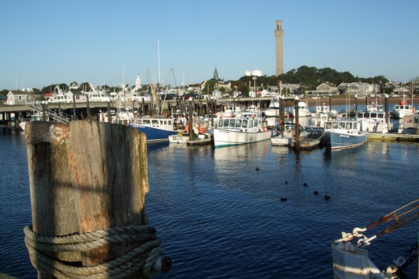 [harbor[4].jpg]