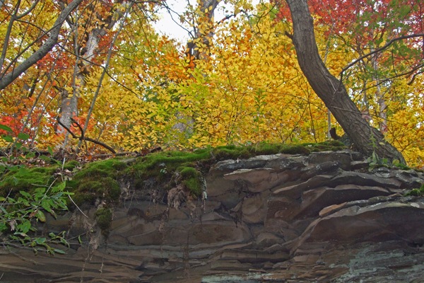 [b2009_1022LittleBeaverFall0061[4].jpg]