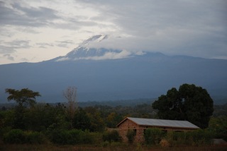 Tanzania41