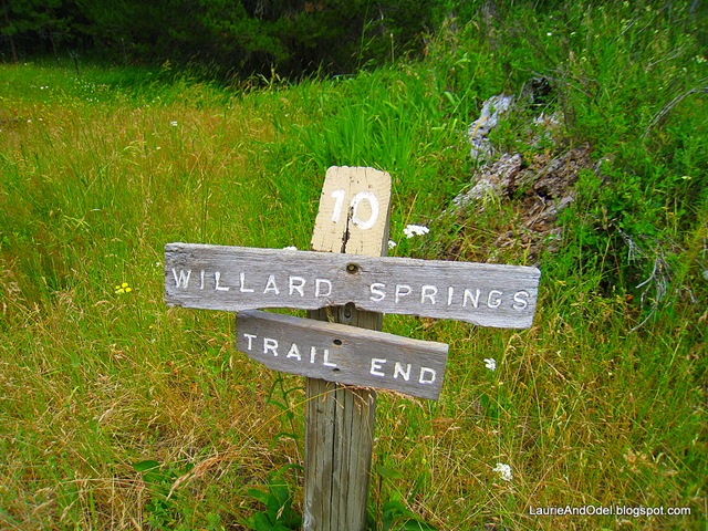 [Willard Springs[4].jpg]