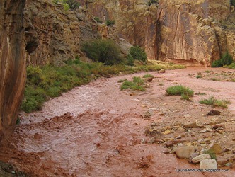 Grand Wash, eastern trailhead