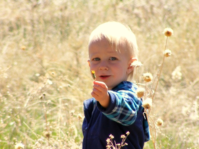 [DSCF75402.jpg]