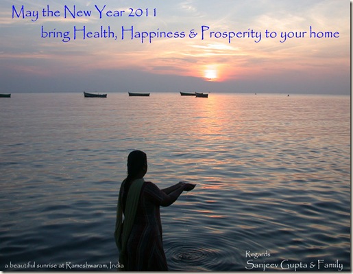 New-Year-2011