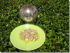 IMG_1767 IMG_1767
