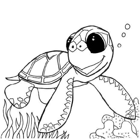 Tortugas bebé para colorear - Imagui