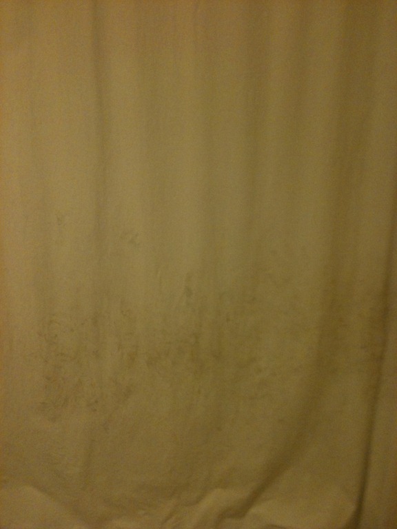 [shower curtain[4].jpg]