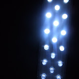 DSCF1748.JPG