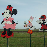 DSCF2455.JPG