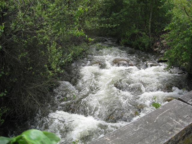 [052210 Kaweah River below bridge[4].jpg]