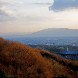 Nara web