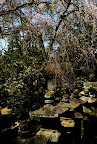 Oiya stone lanterns, Kasuga Taisha