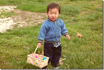 picture_or_video_411