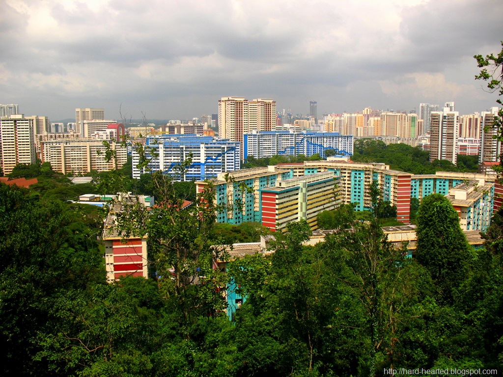 [IMG_003612.jpg]
