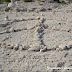 detail_755DSC05074.jpg