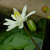 DSC00933.JPG