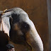 DSC01187.JPG
