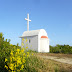 P1030835.JPG