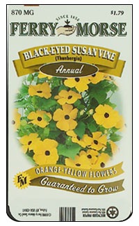 [B-E Susan Vine[2].jpg]