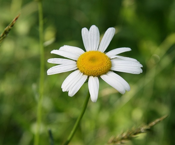 [IMG_36585.jpg]