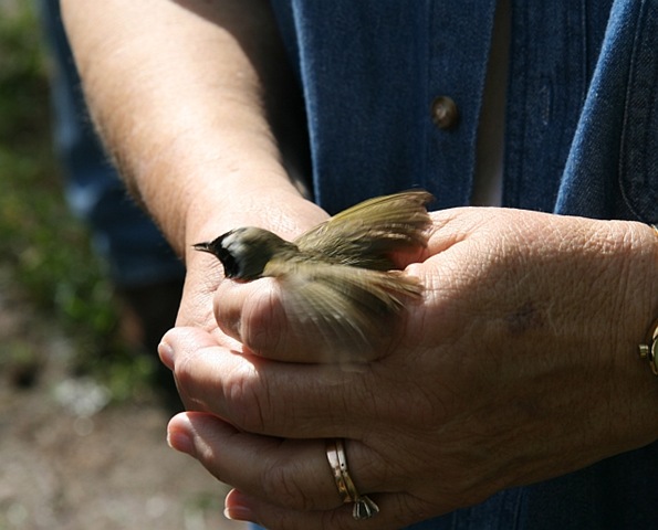 [IMG_36673.jpg]