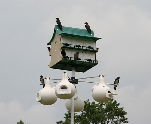 [IMG_16515.jpg]