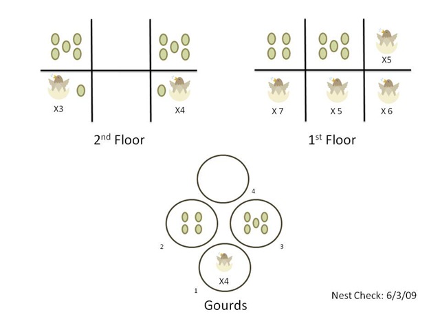 [6309NestCheck10.jpg]