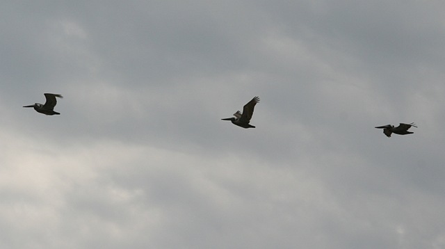[IMG_141914.jpg]