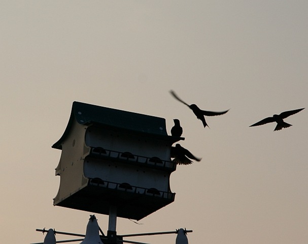 [IMG_16263.jpg]