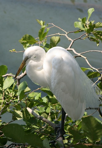 [IMG_44873.jpg]