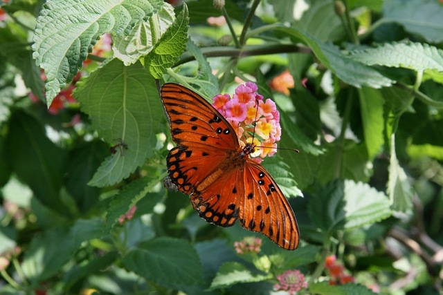 [IMG_47646.jpg]