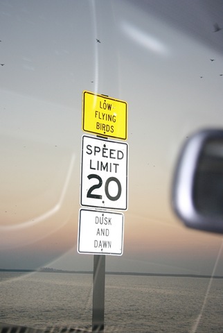 [Sign5.jpg]