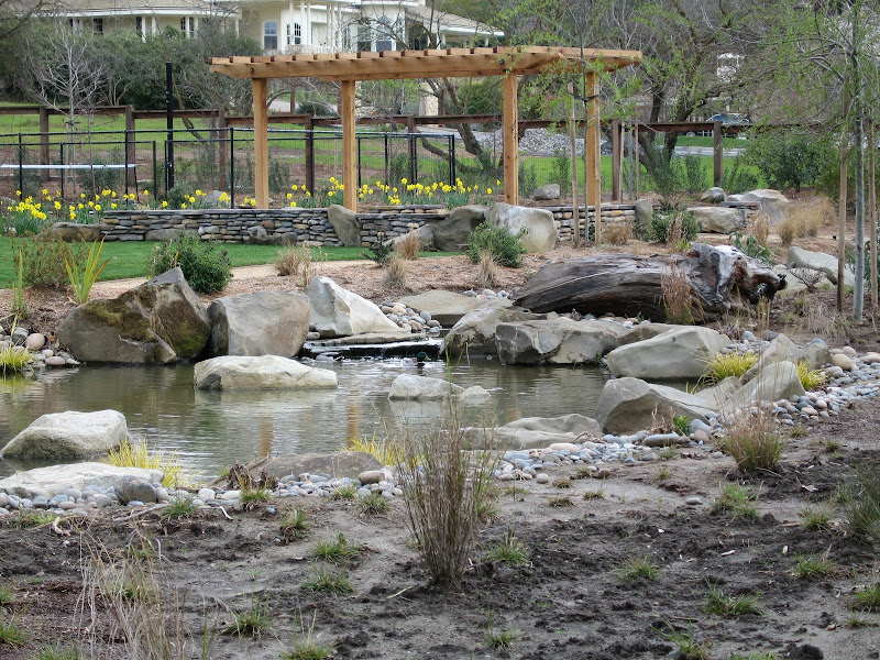 Water Management Water Management