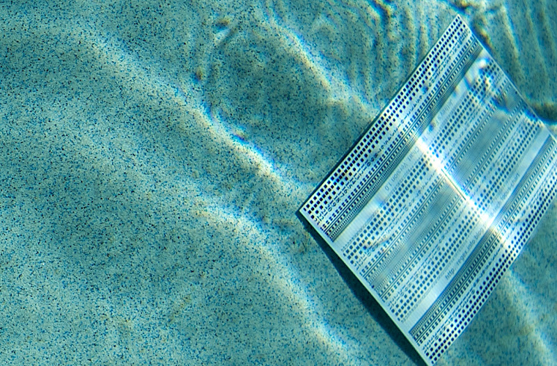Tokina%2017mm%20f82009-02-059160.jpg