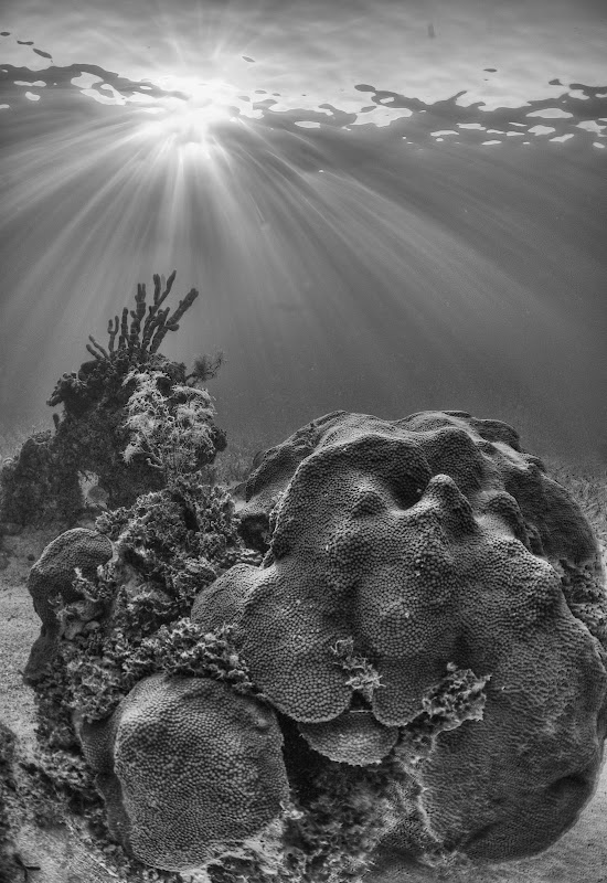 Tokina%2017mm%20f112009-02-189730.jpg