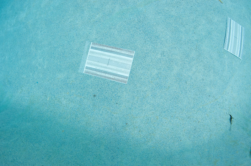 16mm2009-03-2611356.jpg