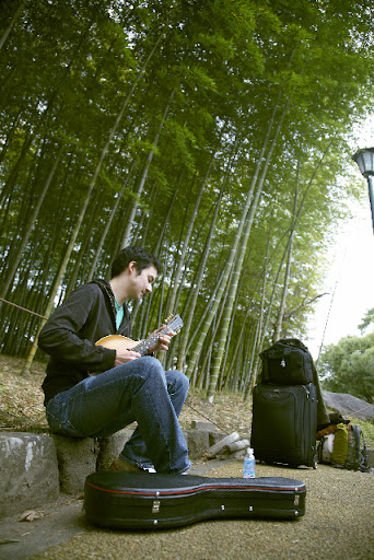 picnic in the park