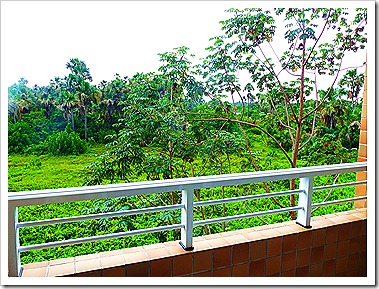 P1080314 P1080314