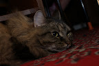 DSC00838.JPG